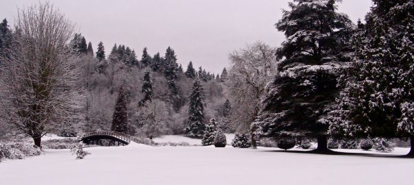 Field with trees and snow, bridge in background.