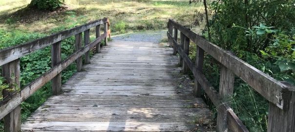 A wooden trail bridge through a park.
