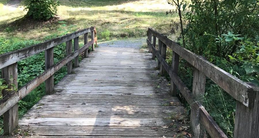 A wooden trail bridge through a park.