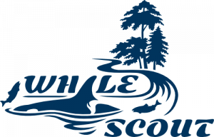 Whale Scouts Logo